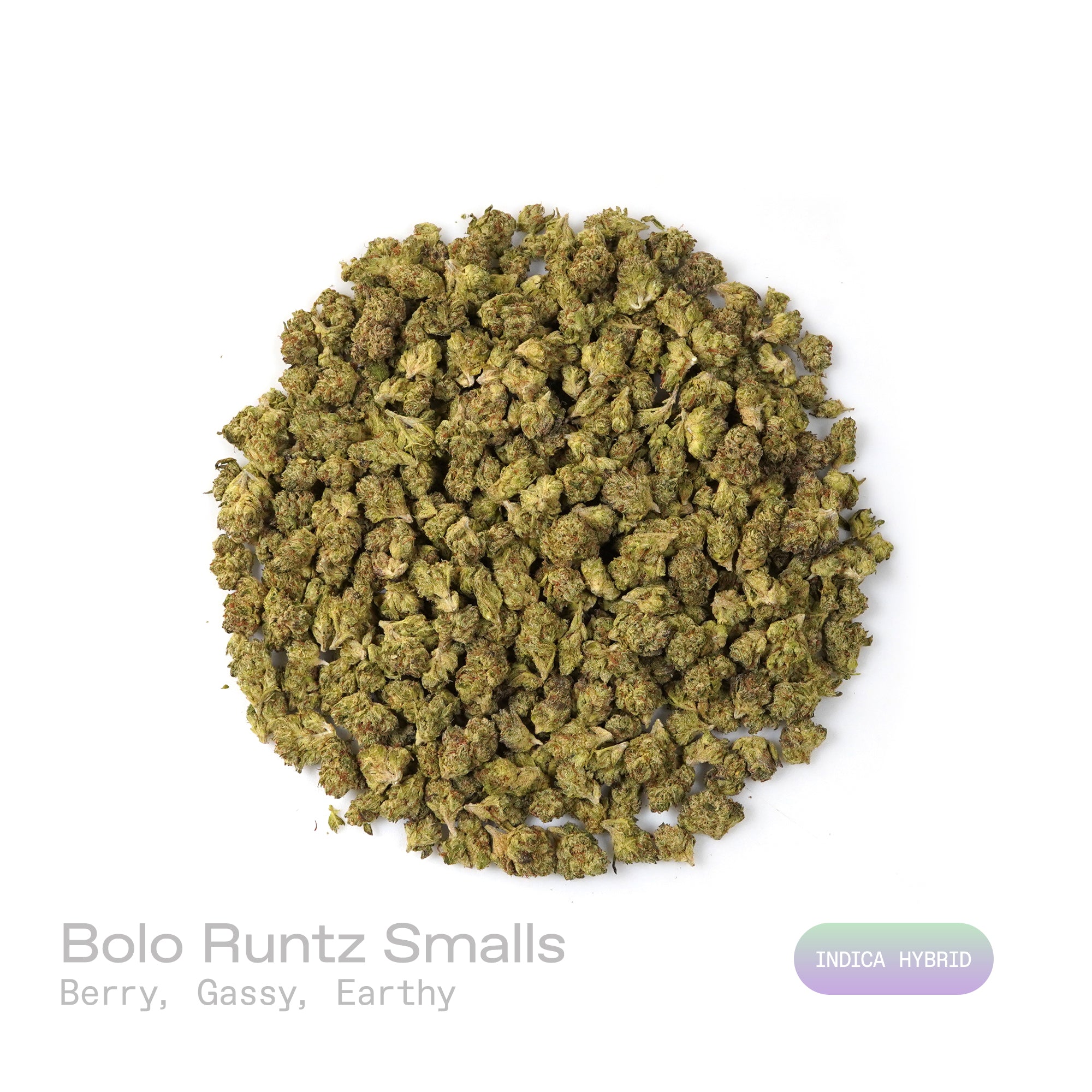 PUFFY Bolo Runtz (smalls) is an indica-dominant hybrid THCa strain, born from the legendary pairing of Gelato and ZKZ. The aroma is a captivating blend of sweet berries, pungent gassy notes, and rich earthy undertones. Visually, the buds are dense and vibrant, showcasing vivid green and deep purple hues, accented by bright orange pistils and a generous coating of sparkling trichomes. Consumers often report a balanced high that begins with a euphoric cerebral lift and gradually settles into a soothing body e