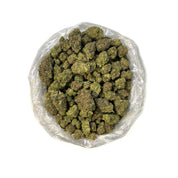 PUFFY Butter Pecan is a well-balanced hybrid THCa strain crafted from the potent cross of Blue Cream and GMO/TK Skunk. Its aroma is rich and indulgent, blending creamy, sweet, cake-like notes that evoke the scent of freshly baked desserts, warm, comforting, and irresistibly inviting. Visually, the buds are dense and vibrant green, occasionally tinged with purple, and covered in thick, creamy-white trichomes with striking dark orange hairs. Consumers often report a euphoric lift accompanied by relaxed muscle