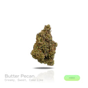 PUFFY Butter Pecan is a well-balanced hybrid THCa strain crafted from the potent cross of Blue Cream and GMO/TK Skunk. Its aroma is rich and indulgent, blending creamy, sweet, cake-like notes that evoke the scent of freshly baked desserts, warm, comforting, and irresistibly inviting. Visually, the buds are dense and vibrant green, occasionally tinged with purple, and covered in thick, creamy-white trichomes with striking dark orange hairs. Consumers often report a euphoric lift accompanied by relaxed muscle