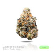 PUFFY Cadillac Rainbow is a balanced hybrid THCa strain expertly crafted from a potent cross between Pure Michigan and Runtz. The aroma opens with pungent onion notes, complemented by bold fuel undertones and a rich, earthy woodiness. Visually, dense forest green buds with purple hues and fiery orange pistils are coated in sticky trichomes. Consumers often report an elevated sense of euphoria and uplifting clarity, complemented by a refined wave of relaxation that leaves them feeling balanced, serene, and d