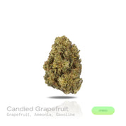 PUFFY Candied Grapefruit is a balanced hybrid THCa strain created from (Tangie × Blueberry Muffin) crossed with MAC and Cheese. The aroma opens with a sharp burst of grapefruit citrus, layered with pungent ammonia-like funk and deep gasoline undertones. Visually, dense forest green buds with purple hues and fiery orange pistils are coated in sticky trichomes. Consumers often report an uplifting sense of euphoria, enhanced mood, clear-headed mental focus, and a gently calming relaxation that promotes overall