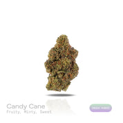 PUFFY Candy Cane is an indica-dominant hybrid THCa strain, crafted from the legendary trio of Mango, White Widow and AK-47. The aroma bursts with bright, fruity notes, complemented by refreshing hints of mint and a lingering sweet finish. Visually, dense buds showcase vibrant bright green and deep purple hues, adorned with fiery orange pistils and a sparkling layer of frosty trichomes. Consumers often report a euphoric mental high that elevates mood, gentle body relaxation that eases tension and mild discom