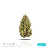 PUFFY Candy Glue is a sativa-dominant hybrid THCa strain, born from the intricate and flavorful cross of GG4, GSC, and ZKZ. The aroma bursts with a playful candy sweetness, underscored by sharp, rubbery notes and a distinct, funky undertone. Visually, the buds are tightly packed with deep forest-green shades, subtle golden highlights, vivid orange pistils, and a generous coating of sparkling trichomes. Consumers often report an uplifting, euphoric mental high paired with soothing body relaxation, with poten