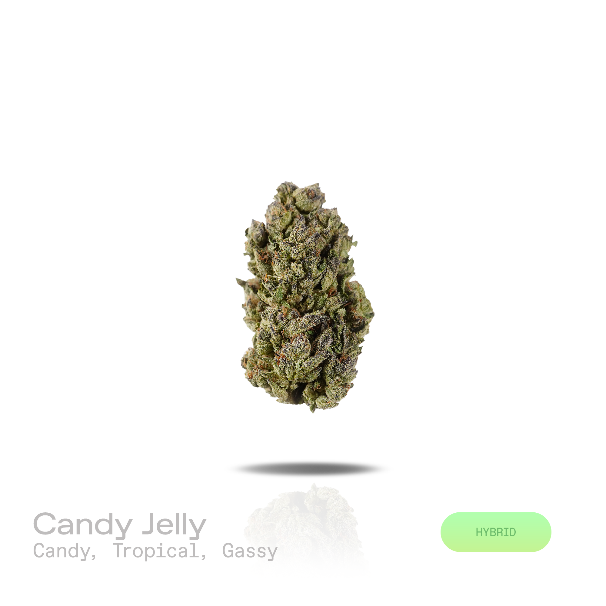 PUFFY Candy Jelly is a balanced hybrid THCa strain featuring an unreleased genetic blend, widely believed to originate from a combination of sweet, candy-inspired, and fruit-forward modern varieties. The aroma opens with a vibrant blend of sweet candy and juicy tropical fruit, layered with a bold gassy finish. Visually, dense lush green buds with purple hues and fiery orange pistils are coated in sticky trichomes. Consumers often report feeling euphoric, cheerful, and inspired, followed by a calm, relaxed s