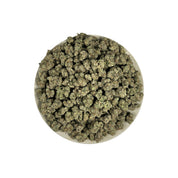 PUFFY Cat Piss is a sativa-dominant hybrid THCa strain recognized as a distinctive phenotype of the legendary Super Silver Haze. The aroma is distinctly skunky and pungent, layered with a gassy intensity. Visually, dense forest green buds with purple hues and fiery orange pistils are coated in sticky trichomes. Consumers often report a euphoric, uplifted, and energized experience that encourages creativity, sharp focus, and a vibrant sense of mental clarity. 