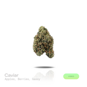 PUFFY Caviar is a balanced hybrid THCa strain with undisclosed lineage, commonly believed to originate from a refined blend of contemporary hybrid genetics. The aroma opens with crisp apples and ripe mixed berries, layered with bold gassy undertones. Visually, dense forest green buds with purple hues and fiery orange pistils are coated in sticky trichomes. Consumers often report euphoric, revitalizing, and happy sensations, creating a cheerful and enjoyable experience. 