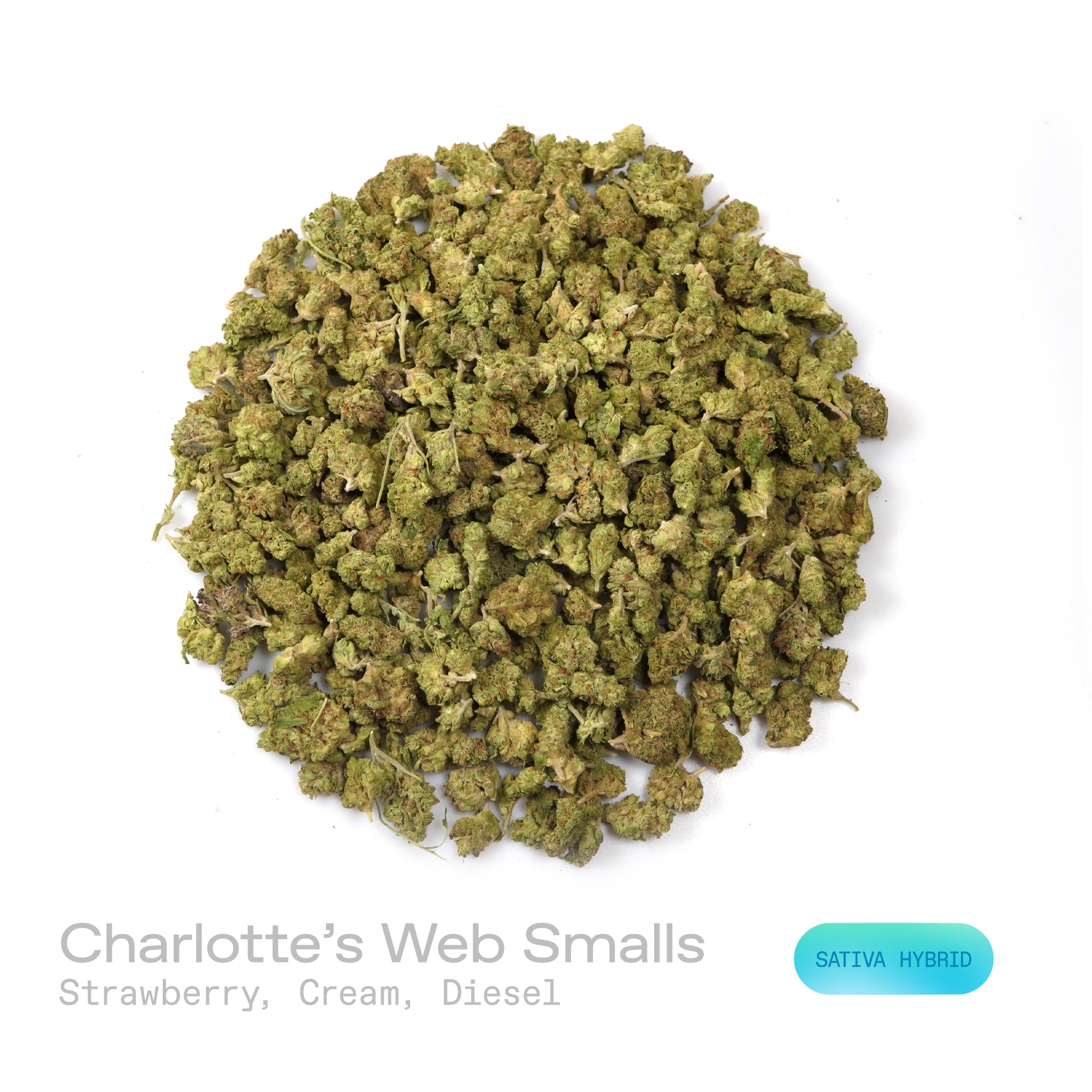 PUFFY Charlotte’s Web (smalls) is a sativa-dominant hybrid THCa strain. The exact parent genetics were never disclosed, but it is believed to have been bred from high-CBD hemp with extremely low THC levels. The aroma is a delightful blend of sweet strawberry, smooth cream, and a bold hint of diesel, creating a rich and enticing fragrance experience. Visually, the dense buds display green tones with deep purple hues, vibrant orange pistils, and a frosty trichome coating. Consumers often report feeling euphor