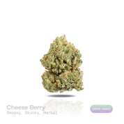 PUFFY Cheese Berry is an indica-dominant hybrid THCa strain bred from the flavorful pairing of UK Cheese and Blueberry. The aroma is a captivating mix of smokey, skunky, and herbal undertones, lingering with a deep, earthy richness that draws you in. Visually, dense forest green buds with purple hues and fiery orange pistils are coated in sticky trichomes. Consumers often report a light wave of euphoria and mood lift at the onset, followed by mild creativity and sociability that settles into a calm, relaxin