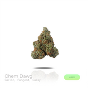 PUFFY Chem Dawg is a balanced hybrid THCa strain with no officially verified lineage, but it’s widely regarded as a foundational genetics strain that inspired fuel-forward hybrids like OG Kush and Sour Diesel. The aroma opens with a bold wave of sharp garlic and deep pungency, layered with a heavy gassy undertone. Visually, dense forest green buds with purple hues and fiery orange pistils are coated in sticky trichomes. Consumers often report an initial euphoric cerebral rush that creates an uplifting state
