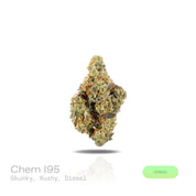 PUFFY Chem I95 is a balanced hybrid THCa strain crafted from the legendary pairing of Chemdawg and I-95. The aroma is a bold blend of skunky, kushy, and diesel notes, creating a pungent and unmistakably potent fragrance. Visually, dense deep green buds with purple hues and fiery orange pistils are coated in sticky trichomes. Consumers often report a euphoric mental lift paired with heightened focus and creativity, gradually giving way to deep body relaxation and soothing stress relief.