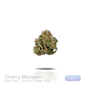 PUFFY Cherry Blossom is an indica THCa strain created through the masterful blending of Cherry Pie and Harle-Tsu. The aroma opens with sweet ripe cherries, smooth vanilla cream, and bold fuel-like undertones. Visually, dense forest green buds with purple hues and fiery orange pistils are coated in sticky trichomes. Consumers often report a euphoric, uplifting, and energizing experience that promotes mental clarity and focus while gradually settling into a deeply relaxing finish. 