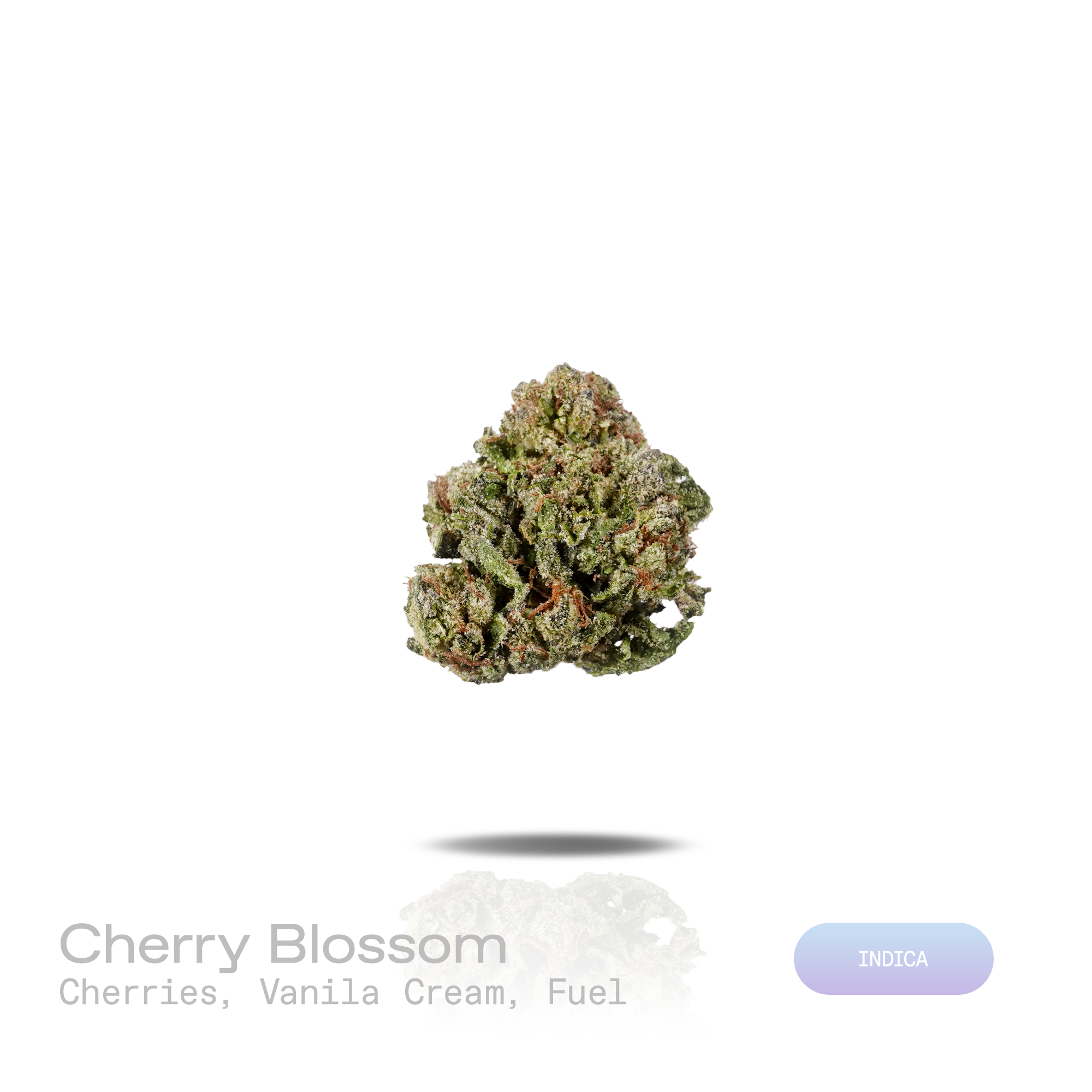 PUFFY Cherry Blossom is an indica THCa strain created through the masterful blending of Cherry Pie and Harle-Tsu. The aroma opens with sweet ripe cherries, smooth vanilla cream, and bold fuel-like undertones. Visually, dense forest green buds with purple hues and fiery orange pistils are coated in sticky trichomes. Consumers often report a euphoric, uplifting, and energizing experience that promotes mental clarity and focus while gradually settling into a deeply relaxing finish. 
