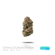PUFFY Cherry Durban Poison is a sativa-dominant hybrid THCa strain cultivated through the deliberate fusion of Cherry Pie × Durban Poison. The aroma blends sweet candy and pungent fuel notes with a smooth pine finish. Visually, dense forest green buds with purple hues and fiery orange pistils are coated in sticky trichomes. Consumers often report feeling euphoric and focused, with an uplifting social energy paired with a calm, mellow feeling. 
