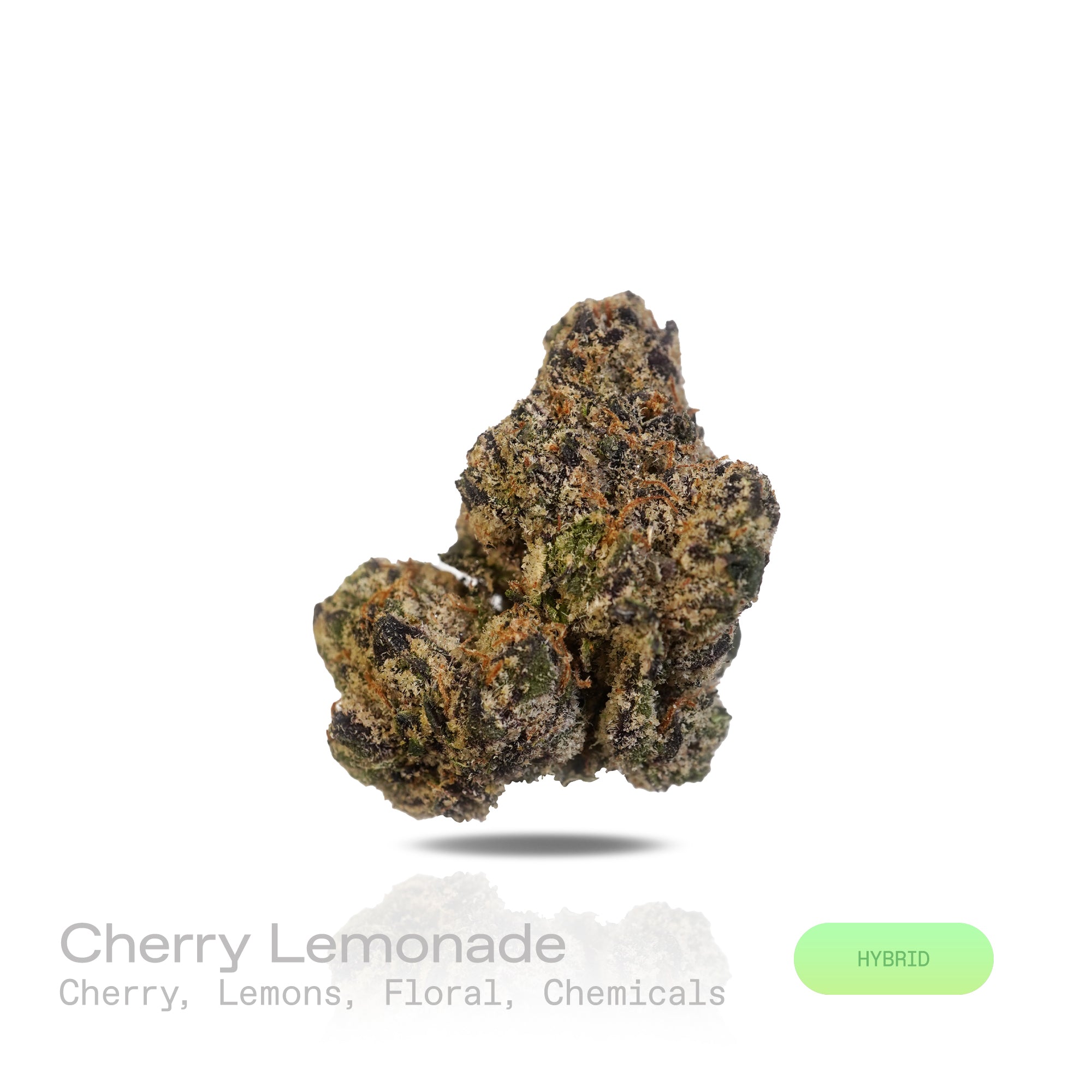 PUFFY Cherry Lemonade is a hybrid THCa strain born from the flavorful cross between Cherry Pie OG and Jack the Ripper. The aroma is a vibrant fusion of sweet cherries and zesty lemons, complemented by delicate floral notes and a sharp chemical edge that gives it a bold and memorable finish. Visually, the buds are striking primarily forest green with deep shades of dark green and rich purple hues. Consumers often describe the experience as uplifting and energizing, promoting creativity and talkativeness. Des