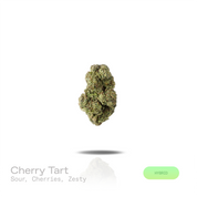 PUFFY Cherry Tart is a balanced hybrid THCa strain expertly curated from the flavorful pairing of Cherry Pie and Very Cherry. The aroma is bright and tangy, blending tart sour notes with juicy cherries and a zesty finish. Visually, dense forest green buds with purple hues and fiery orange pistils are coated in sticky trichomes. Consumers often report an uplifting wave of euphoria that sparks creativity, sharpens focus, boosts energy, encourages conversation, and gradually settles into a calm, relaxed state.