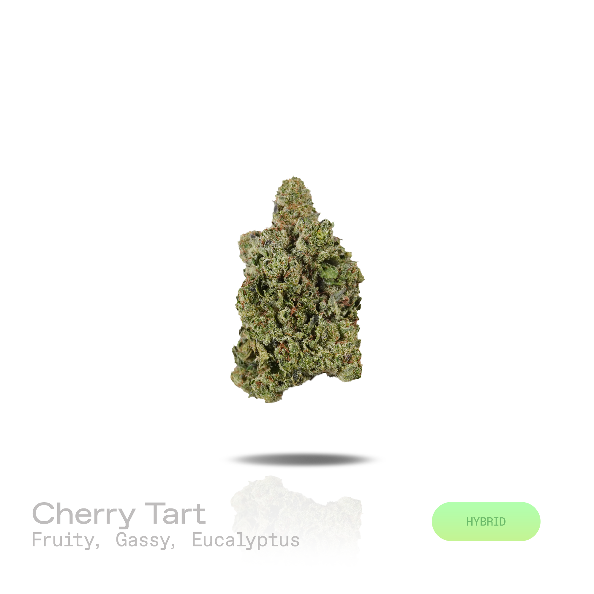 PUFFY Cherry Tart is a balanced hybrid THCa strain expertly curated from the flavorful pairing of Cherry Pie and Very Cherry. The aroma opens with bright fruity sweetness, followed by rich gassy undertones and a crisp eucalyptus finish. Visually, dense forest green buds with purple hues and fiery orange pistils are coated in sticky trichomes. Consumers often report an uplifting wave of euphoria that sparks creativity, sharpens focus, boosts energy, encourages conversation, and gradually settles into a calm,
