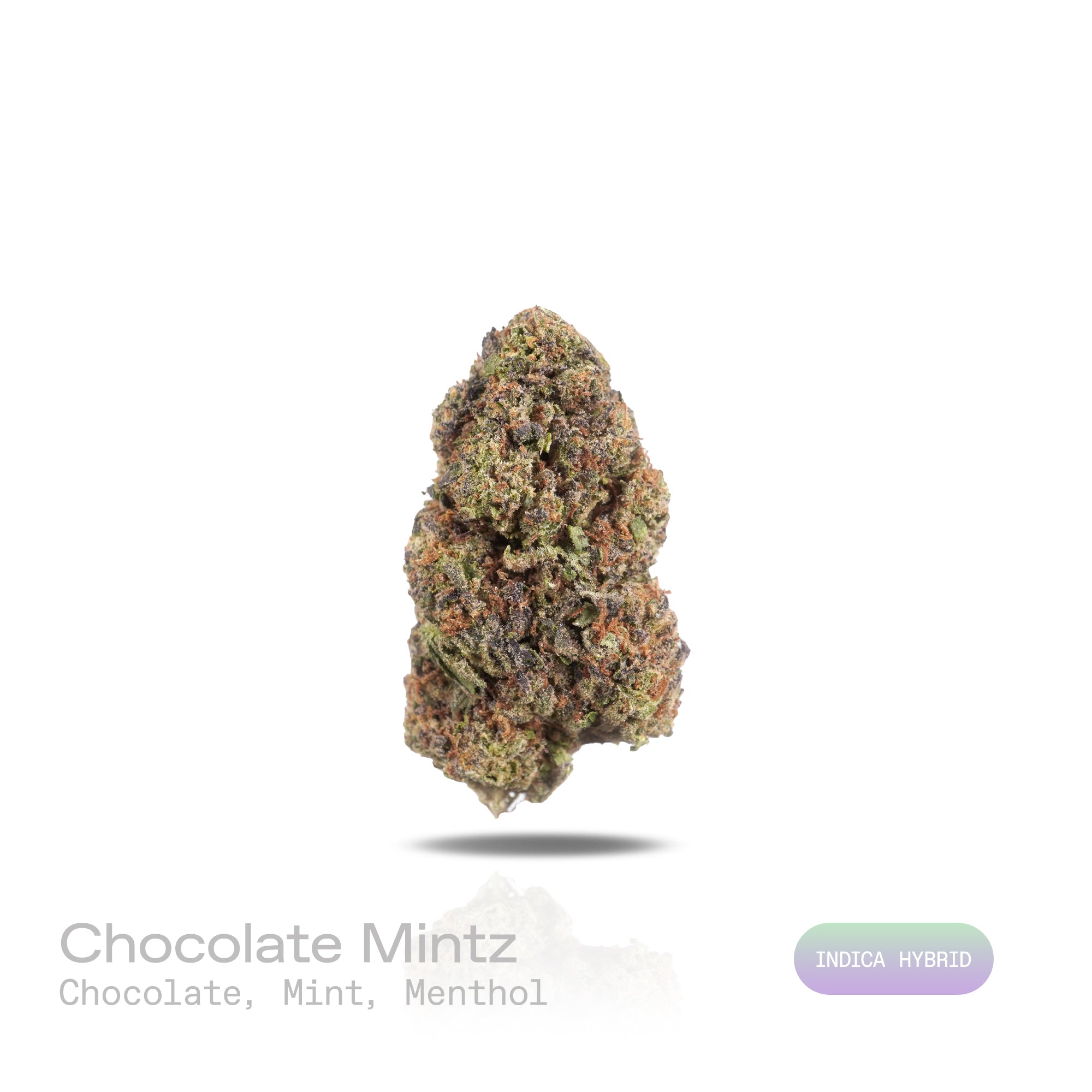 PUFFY Chocolate Mintz is an indica-dominant hybrid THCa strain, crafted from the distinctive pairing of Emerald OG and Granddaddy Purple. The aroma is a refreshing blend of rich chocolate, cool mint, and invigorating menthol, creating a sweet yet crisp sensory experience. Visually, dense forest-green buds with hints of purple are threaded with fiery orange pistils and coated in a sparkling layer of sticky trichomes. Consumers often report a euphoric experience paired with full-body relaxation, a calm and pe