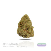 PUFFY Citrus Kush is an indica-dominant  hybrid THCa strain, widely believed to be a cross of Master Kush with a citrus-forward strain, though its true parentage remains uncertain and varies by source. The aroma hits with sharp bursts of lemon layered over deep, tarry notes and a bold hint of asphalt, creating a strikingly intense profile. Visually, the buds are dense and compact, showcasing deep forest-green hues highlighted by vivid yellow-orange pistils and a heavy frost of shimmering trichomes. Consumer