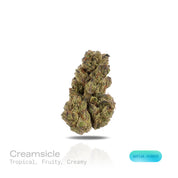 PUFFY Creamsicle is a sativa-dominant hybrid THCa strain, born from the flavorful cross of Orange Crush and Juicy Fruit. The aroma is a delightful blend of tropical, fruity, and creamy notes that create a smooth and inviting scent profile. Visually, the buds are compact and resinous, showcasing vibrant green hues intertwined with fiery orange pistils and a shimmering layer of frosty trichomes. Consumers often report a gentle, wave-like onset that lifts the mood with euphoric, cerebral effects, gradually mel