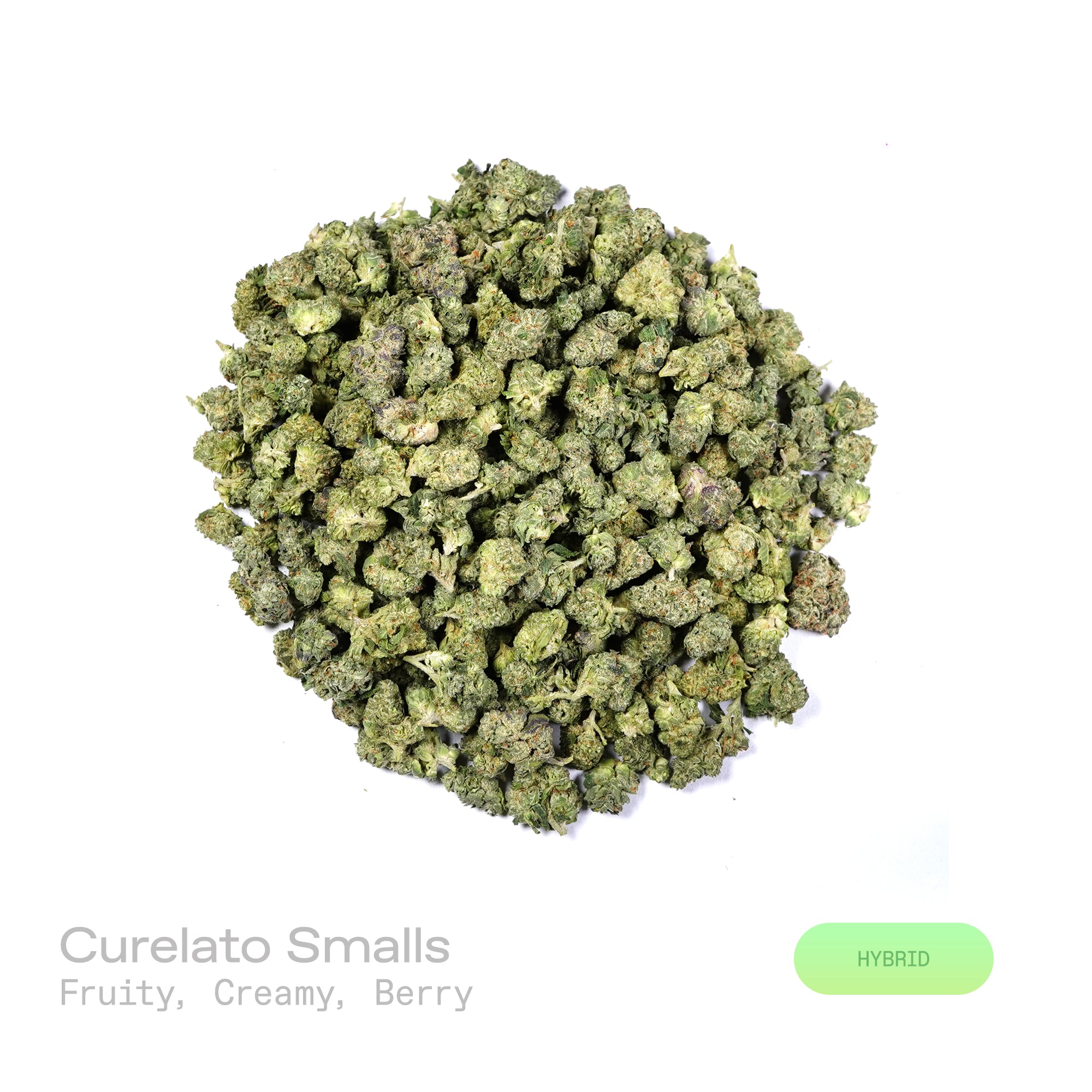 PUFFY Curelato (smalls) is a balanced hybrid THCa strain bred from the exceptional union of Gelato 33 and unconfirmed genetic lineage. The aroma opens with a delightful blend of fruity sweetness, creamy undertones, and rich berry notes. Visually, dense forest green buds with purple hues and fiery orange pistils are coated in sticky trichomes. Consumers often report feeling euphoric, uplifted, and energized, with a positive boost in mood and motivation.