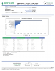 PUFFY THCa concentrate Gary Payton is a powerhouse collab between Cookies and Kenny Dumetz of Powerzzzup Genetics.  It is a highly sought-after hybrid THCa strain named after the NBA Hall of Famer. Bred by Powerzzzup, it’s the result of crossing The Y and Snowman, delivering a potent, flavorful, and vibrant experience that lives up to the hype.
