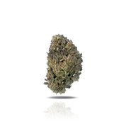 PUFFY Dior is a luxurious hybrid THCa strain made from a genetic cross between (Gelato 41 x OG ) x Headlights. Dior leads with classic Gelato flavors of pastry diesel, paired with the earthen berry of its Northern Lights heritage, and is perfect for any occasion.