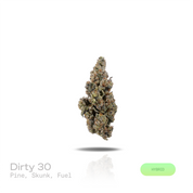 PUFFY Dirty 30 is a balanced hybrid THCa strain created through the masterful blending of GMO Cookies × Cookies N Cream F2. The aroma opens with crisp pine, followed by earthy skunk and a robust diesel-like fuel finish. Visually, dense forest green buds with purple hues and fiery orange pistils are coated in sticky trichomes. Consumers often report a euphoric, invigorating, and uplifting experience that enhances creative focus before gradually transitioning into a gentle, full-body relaxation. 