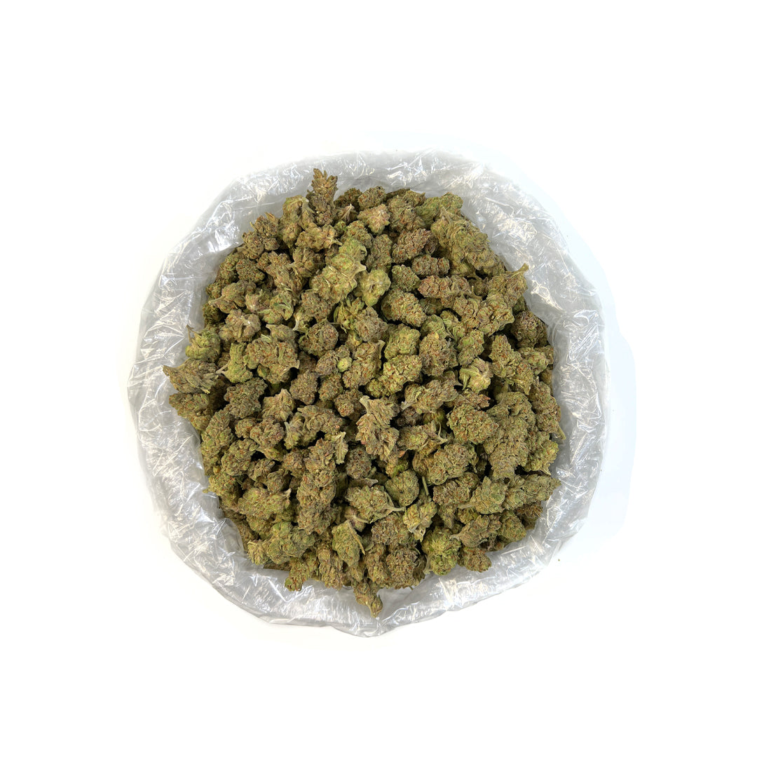 Dr. J THCa Flower (Indoor) (Hybrid)