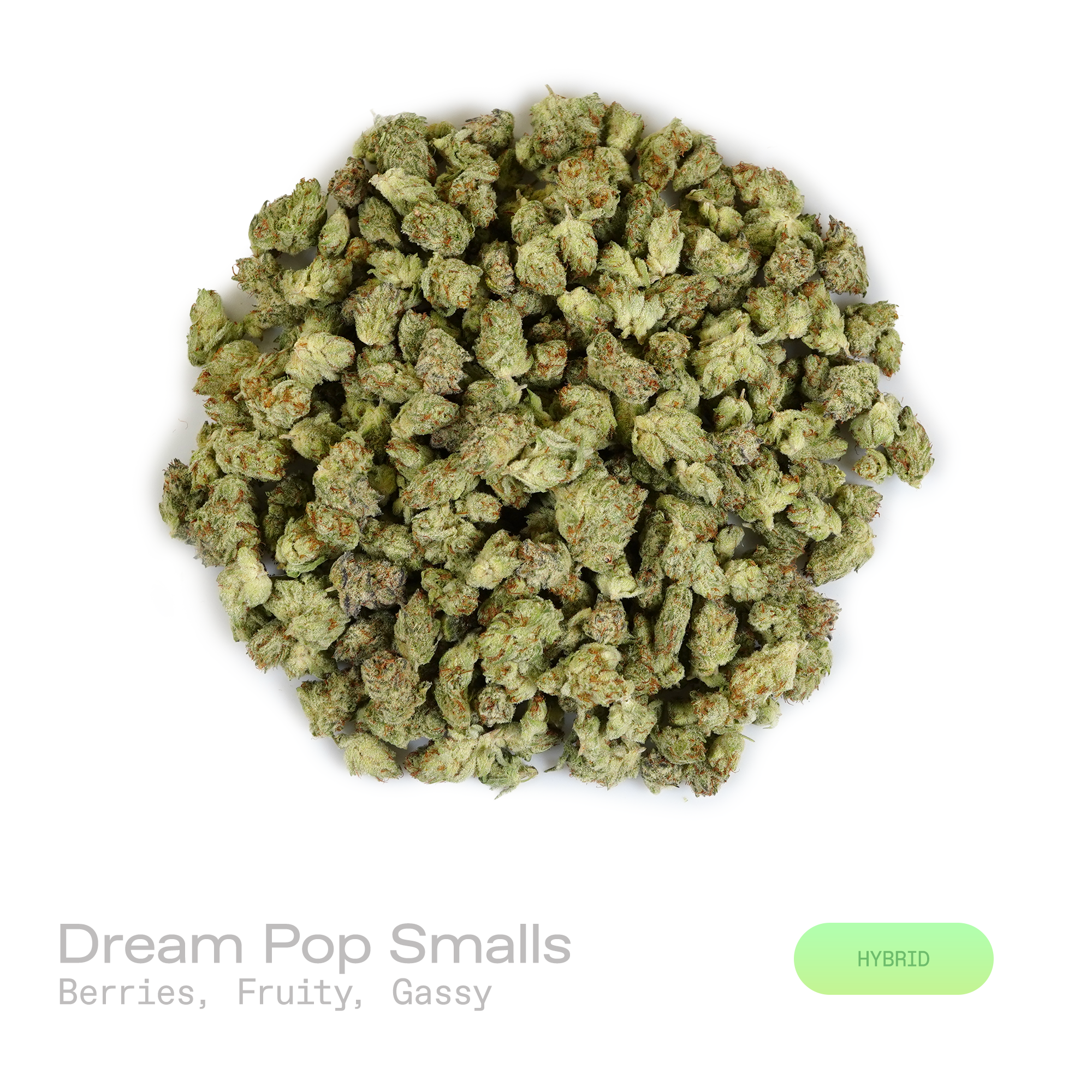 PUFFY Dream Pop (smalls) is a balanced hybrid THCa strain whose exact genetics remain unconfirmed, leaving its true lineage unknown. The aroma blends ripe berries with bright, fruity sweetness, rounded out by a bold, gassy finish. Visually, dense forest green and purple buds with orange pistils are coated in sparkling, frosty trichomes. Consumers often report a euphoric, uplifting onset that settles into a calm and relaxed experience, inspiring creativity and sociability. 