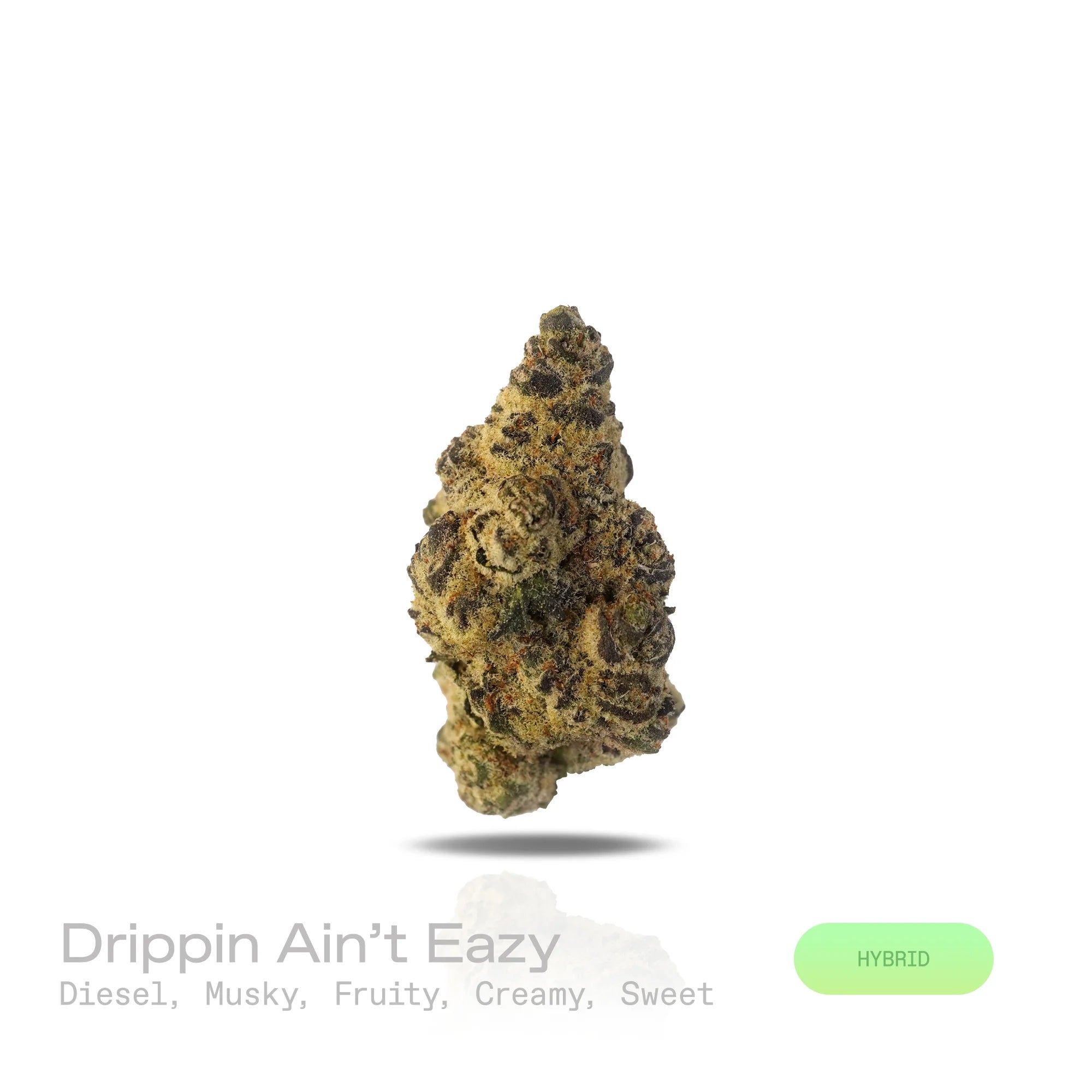 PUFFY Drippin Ain’t Eazy is a hybrid THCa strain, a lively and flavorful cross between Drip Station and Gary Poppins. A rich and complex aroma featuring bold diesel notes, layered with musky undertones, complemented by hints of ripe fruitiness, creamy smoothness, and a subtle, lingering sweetness. Visually, dense buds glisten with frosty trichomes, showcasing deep purple and pale green hues. Consumers often describe it as delivering a balanced experience that soothes and relaxes while stimulating creativity