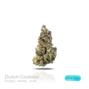 PUFFY Dutch Cookies is a sativa-dominant hybrid THCa strain derived from the skillfully blended cross of Platinum Girl Scout Cookies and Dutch Treat. The aroma is doughy and woody, with a distinct kush backbone that adds depth and earthiness. Visually, dense forest green buds with purple hues and fiery orange pistils are coated in sticky trichomes. Consumers often report an uplifting, euphoric onset with mentally stimulating effects, followed by a gentle light body relaxation that keeps the experience balan