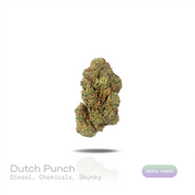 PUFFY Dutch Punch is an indica-dominant THCa strain emerging from the renowned pairing of Purple Punch and Dutch Treat. The aroma hits with sharp diesel fuel, layered with harsh chemical undertones, and finishes with a deep, lingering skunky funk. Visually, dense forest green buds with purple hues and fiery orange pistils are coated in sticky trichomes. Consumers often report an euphoric, mood-lifting head high paired with deep physical relaxation that settles the body into a calm, restful state. 