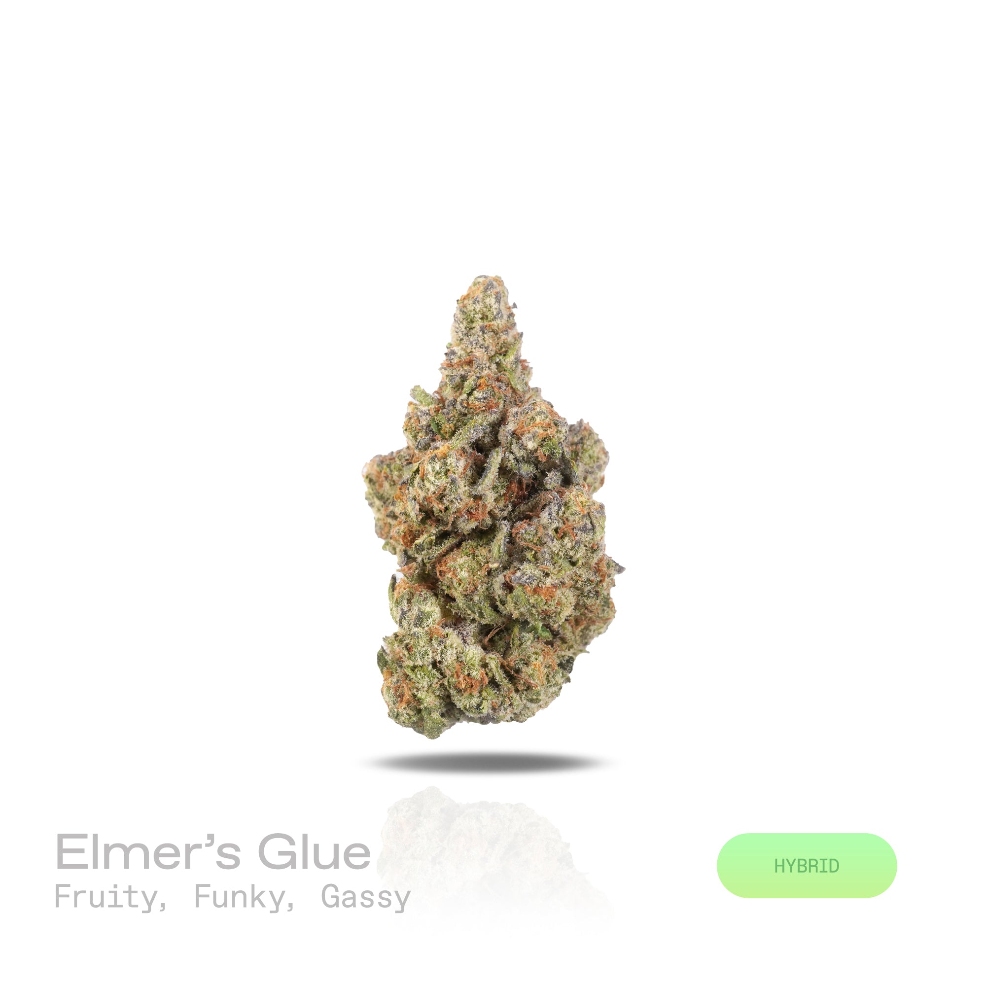 PUFFY Elmer’s Glue is a balanced hybrid THCa strain, created from the iconic pairing of GG4 (Gorilla Glue 4) and The White. The aroma is a vibrant mix of fruity, funky, and gassy notes, leaving a bold and distinctive scent. Visually, dense forest-green buds with hints of purple are threaded with fiery orange pistils and coated in a sparkling layer of sticky trichomes. Consumers often report experiencing a euphoric sense of well-being, paired with deep relaxation and heightened focus, while also feeling upli