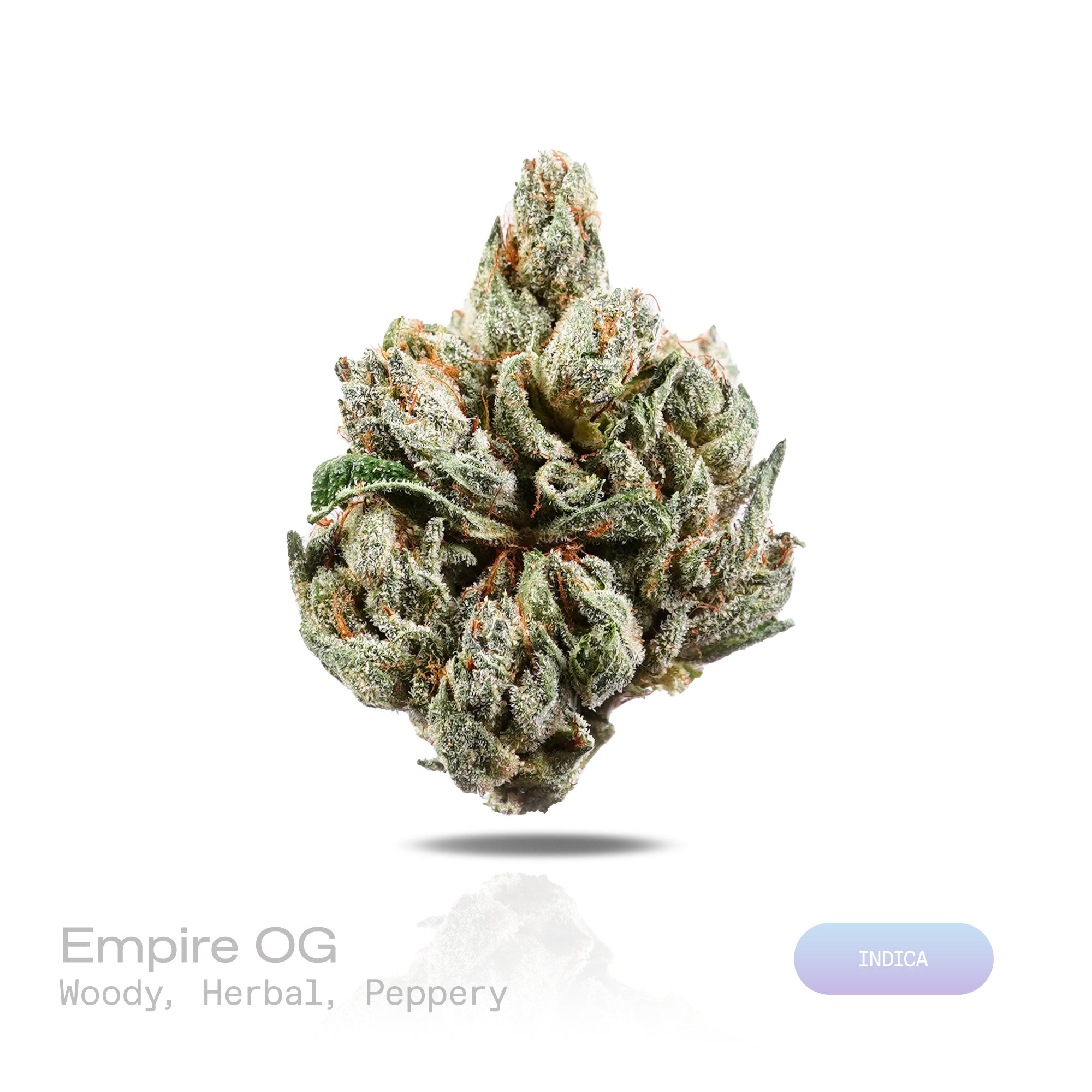 PUFFY Empire OG is a lush indica THCa strain crafted from the masterful pairing of Candy Kush and OG Kush. The aroma blends warm, woody notes with fresh herbal scents and a sharp, peppery finish. Visually, dense forest green buds with purple hues and fiery orange pistils are coated in sticky trichomes. Consumers often report euphoric sensations and soothing relaxation, accompanied by a calming sense of ease that helps melt away stress and tension.