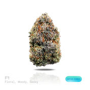 PUFFY F1 is a sativa-dominant hybrid THCa strain with genetics that have yet to be publicly revealed, leaving its true lineage unknown. The aroma combines delicate floral notes with rich, woody undertones and a bold, gassy finish. Visually, dense forest green buds with purple hues and fiery orange pistils are coated in sticky trichomes. Consumers often report feeling euphoric and uplifted, with a boost in energy and a more creative mindset.