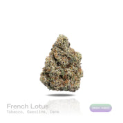 
PUFFY French Lotus is an indica-dominant hybrid THCa strain born from the celebrated genetics of Blue Lotus and FKAKL. The aroma is a bold fusion of rich tobacco, sharp gasoline, and deep, earthy dank notes. Visually, dense forest green buds with purple hues and fiery orange pistils are coated in sticky trichomes. Consumers often report an euphoric, uplifting head high accompanied by a deeply soothing body relaxation that promotes overall calm and well-being.
