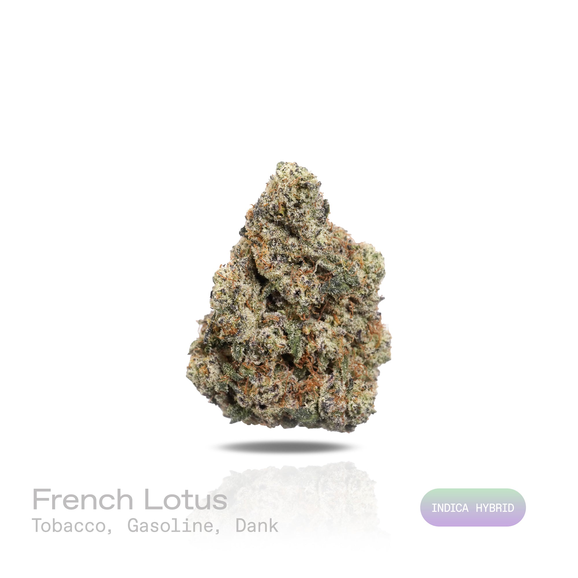 
PUFFY French Lotus is an indica-dominant hybrid THCa strain born from the celebrated genetics of Blue Lotus and FKAKL. The aroma is a bold fusion of rich tobacco, sharp gasoline, and deep, earthy dank notes. Visually, dense forest green buds with purple hues and fiery orange pistils are coated in sticky trichomes. Consumers often report an euphoric, uplifting head high accompanied by a deeply soothing body relaxation that promotes overall calm and well-being.
