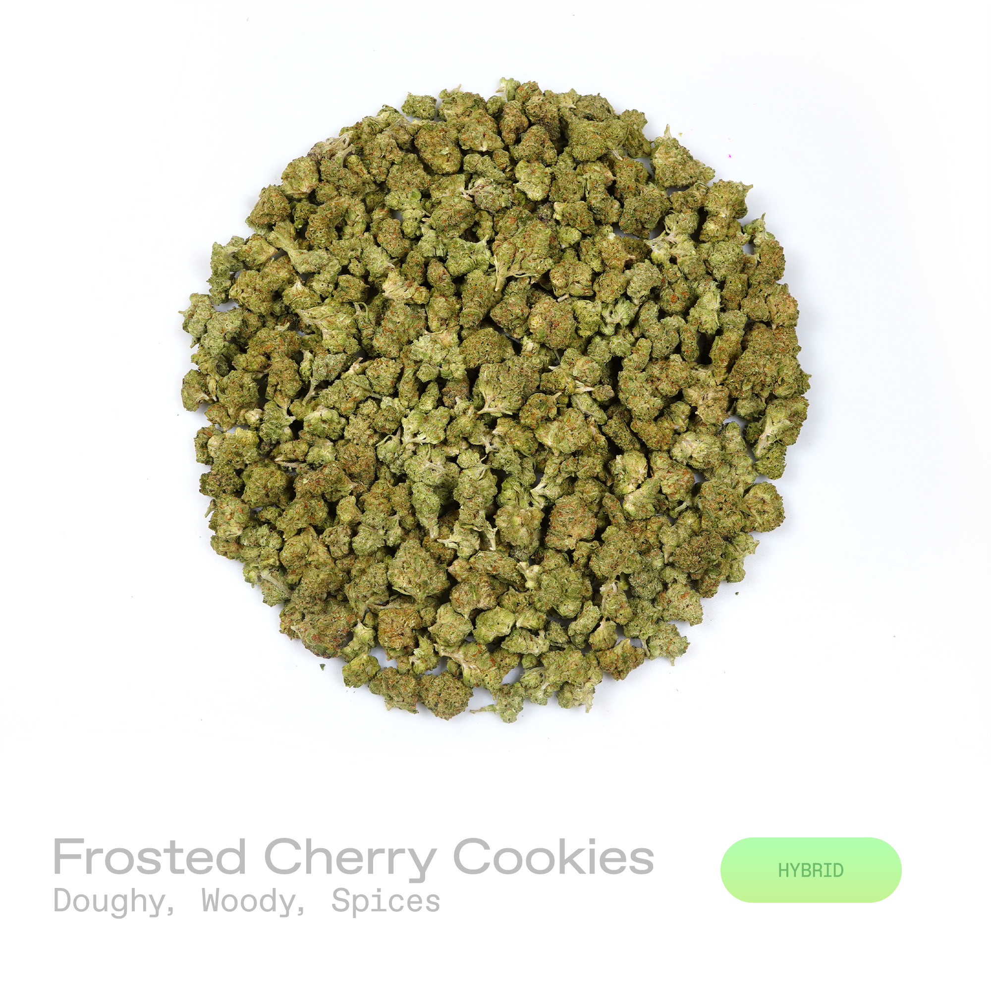 PUFFY Frosted Cherry Cookies (smalls) is a balanced hybrid THCa strain resulting from the strategic pairing of Cherry Cookies and The White. The aroma is rich and inviting, blending doughy warmth with deep woody undertones and a subtle layer of aromatic spices. Visually, dense deep forest green buds with purple hues and fiery orange pistils are coated in sticky trichomes. Consumers often report a euphoric, mood-enhancing clarity at onset, followed by a gentle easing into mental calm and stress relief, befor