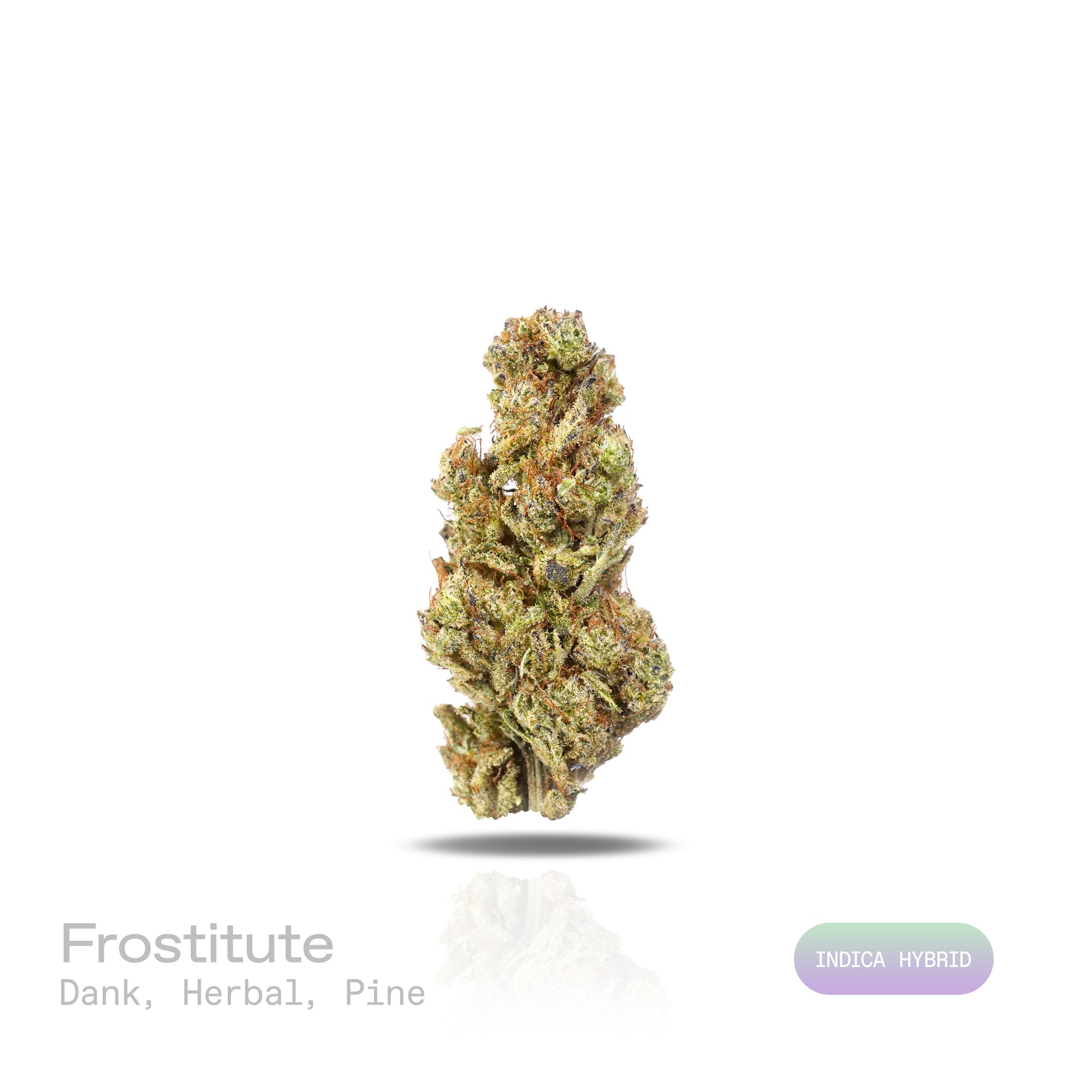 PUFFY Frostitute is an indica-dominant hybrid THCa strain born from G13 and an unknown indica lineage hidden from public records. The aroma opens with a bold, dank intensity, layered with earthy herbal undertones and finished by a crisp, pine-forward freshness. Visually, dense herbal green buds with purple hues and fiery orange pistils are coated in sticky trichomes. Consumers often report an uplifting euphoric state paired with a soothing mental ease and a steady, mood-enhancing effect that brings the mind