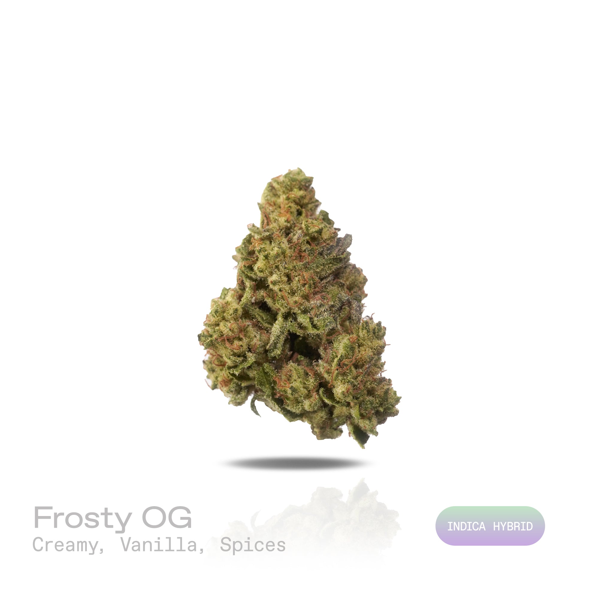 PUFFY Frosty OG is an indica-dominant hybrid THCa strain, crafted from the legendary lineage of OG Kush and Frostbite. The aroma is a rich blend of creamy and sweet vanilla notes, layered with warm, inviting spices that tantalize the senses. Visually, dense green buds with hints of purple are threaded with fiery orange pistils and coated in a sparkling layer of sticky trichomes. Consumers often report a wave of euphoria and happiness, paired with deep relaxation, a sense of calm, and a boost in creativity.