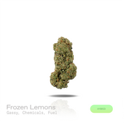 PUFFY Frozen Lemons is a balanced hybrid THCa strain resulting from the strategic pairing of Freezer Burn and Lemon Fire. The aroma is intensely gassy with sharp chemical undertones and a bold fuel-forward finish. Visually, dense forest green buds with purple hues and fiery orange pistils are coated in sticky trichomes. Consumers often report a euphoric, uplifting high that sparks creativity, sharpens focus, encourages conversation, and settles into a smooth, relaxing finish that keeps you feeling clear and