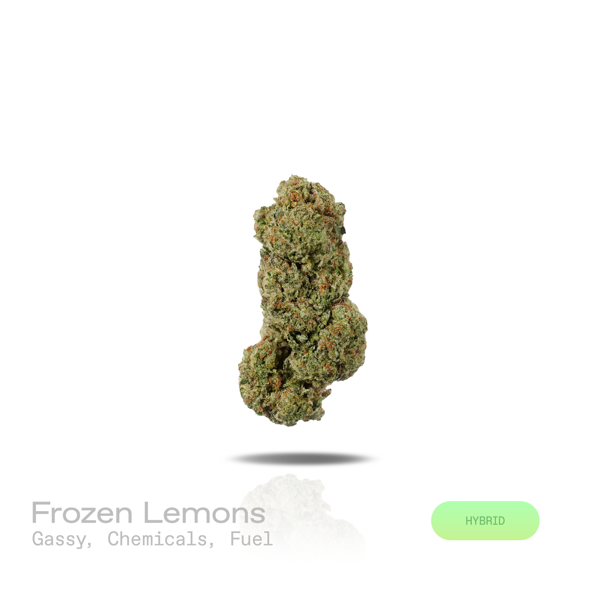 PUFFY Frozen Lemons is a balanced hybrid THCa strain resulting from the strategic pairing of Freezer Burn and Lemon Fire. The aroma is intensely gassy with sharp chemical undertones and a bold fuel-forward finish. Visually, dense forest green buds with purple hues and fiery orange pistils are coated in sticky trichomes. Consumers often report a euphoric, uplifting high that sparks creativity, sharpens focus, encourages conversation, and settles into a smooth, relaxing finish that keeps you feeling clear and