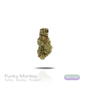PUFFY Funky Monkey is an indica-dominant hybrid THCa strain bred through the careful hybridization of Grape Ape and Mendocino Purps. The aroma is a bold blend of funky, skunky notes with an unmistakably pungent finish. Visually, dense forest green buds with purple hues and fiery orange pistils are coated in sticky trichomes. Consumers often report an uplifting surge of euphoria and energy that enhances mood, sharpens focus, and promotes a positive, invigorating state of mind. 