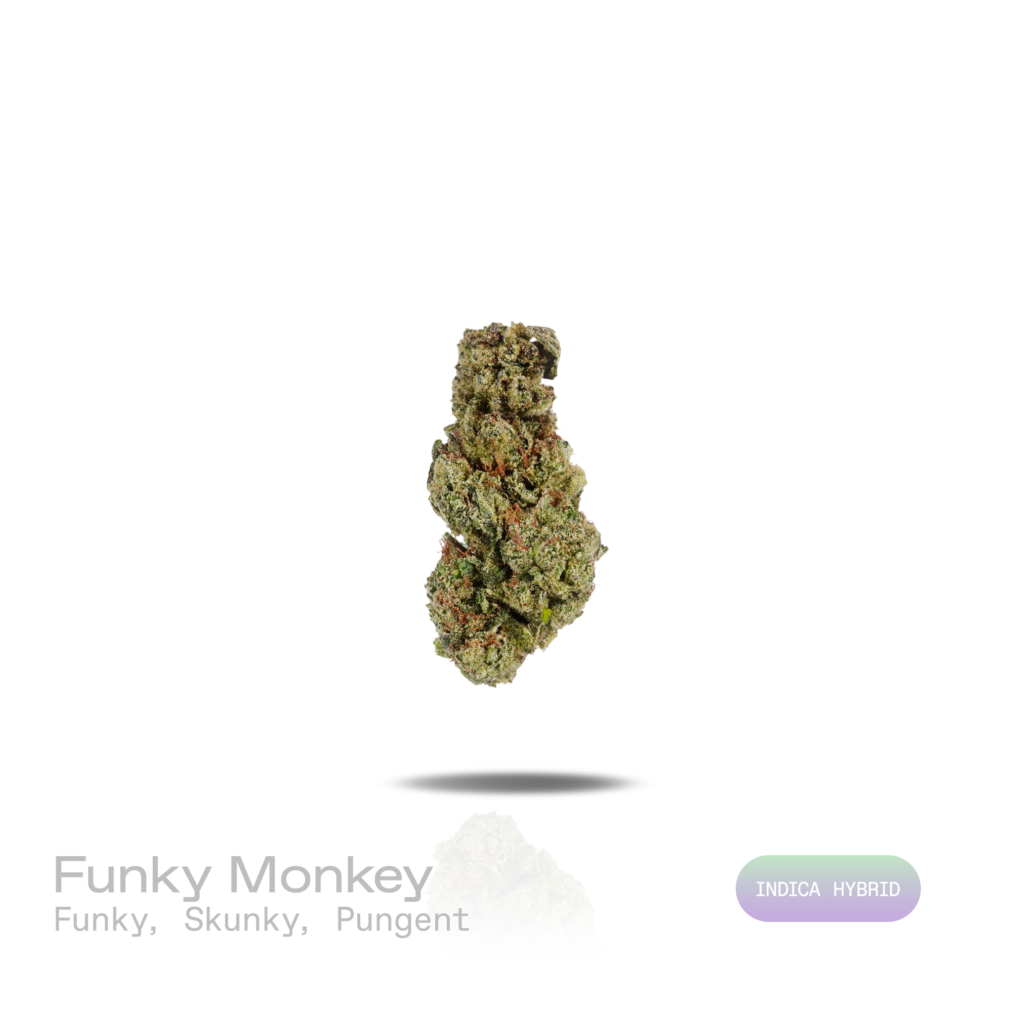 PUFFY Funky Monkey is an indica-dominant hybrid THCa strain bred through the careful hybridization of Grape Ape and Mendocino Purps. The aroma is a bold blend of funky, skunky notes with an unmistakably pungent finish. Visually, dense forest green buds with purple hues and fiery orange pistils are coated in sticky trichomes. Consumers often report an uplifting surge of euphoria and energy that enhances mood, sharpens focus, and promotes a positive, invigorating state of mind. 