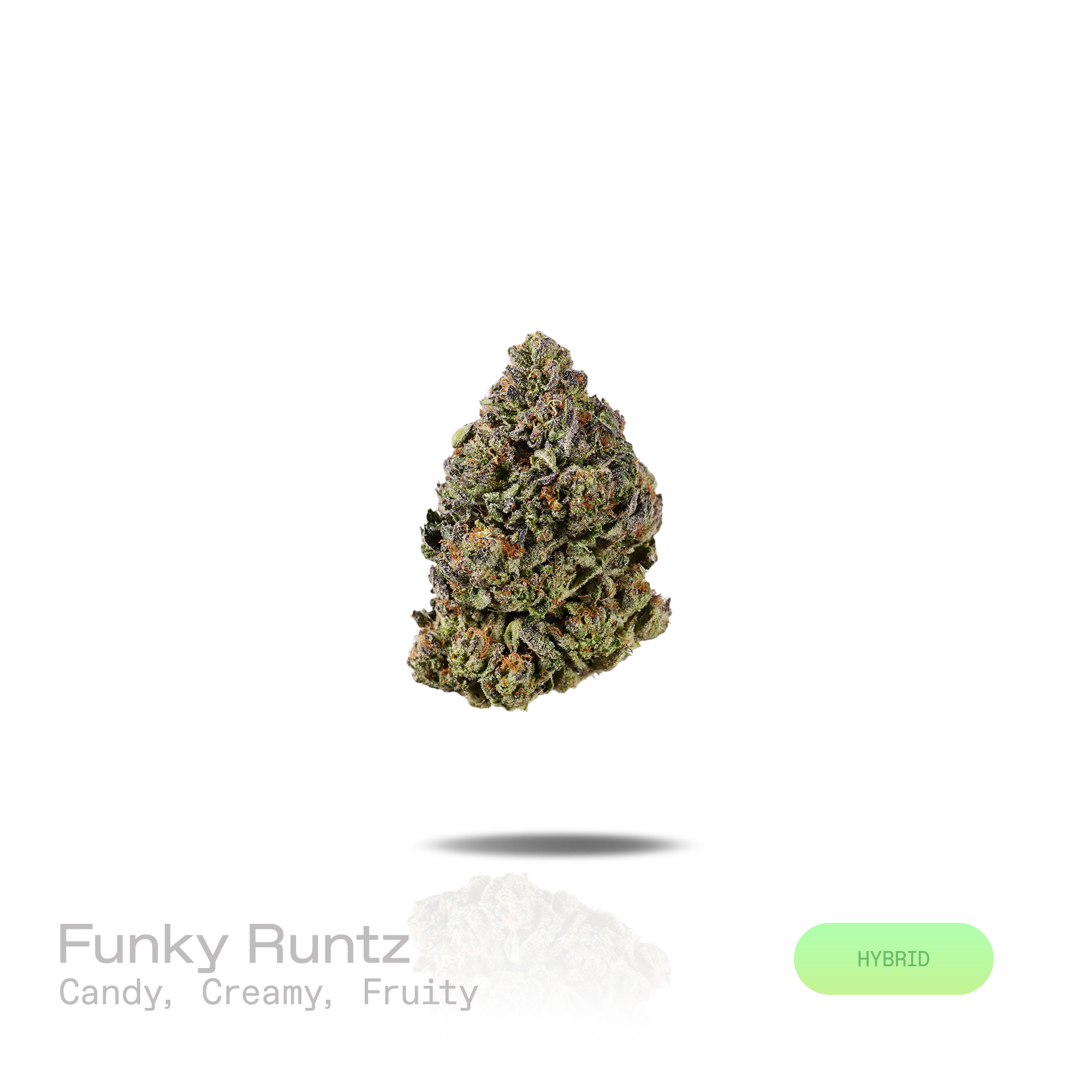 PUFFY Funky Runtz is a balanced hybrid THCa strain whose exact genetics remain unconfirmed, leaving its true lineage unknown. The aroma is a delightful blend of sweet candy and rich creamy notes, rounded out by a smooth, fruity finish. Visually, dense deep forest green buds with purple hues and fiery orange pistils are coated in sticky trichomes. Consumers often report euphoric effects that bring mental clarity, fuel creativity, and promote peaceful relaxation. 
