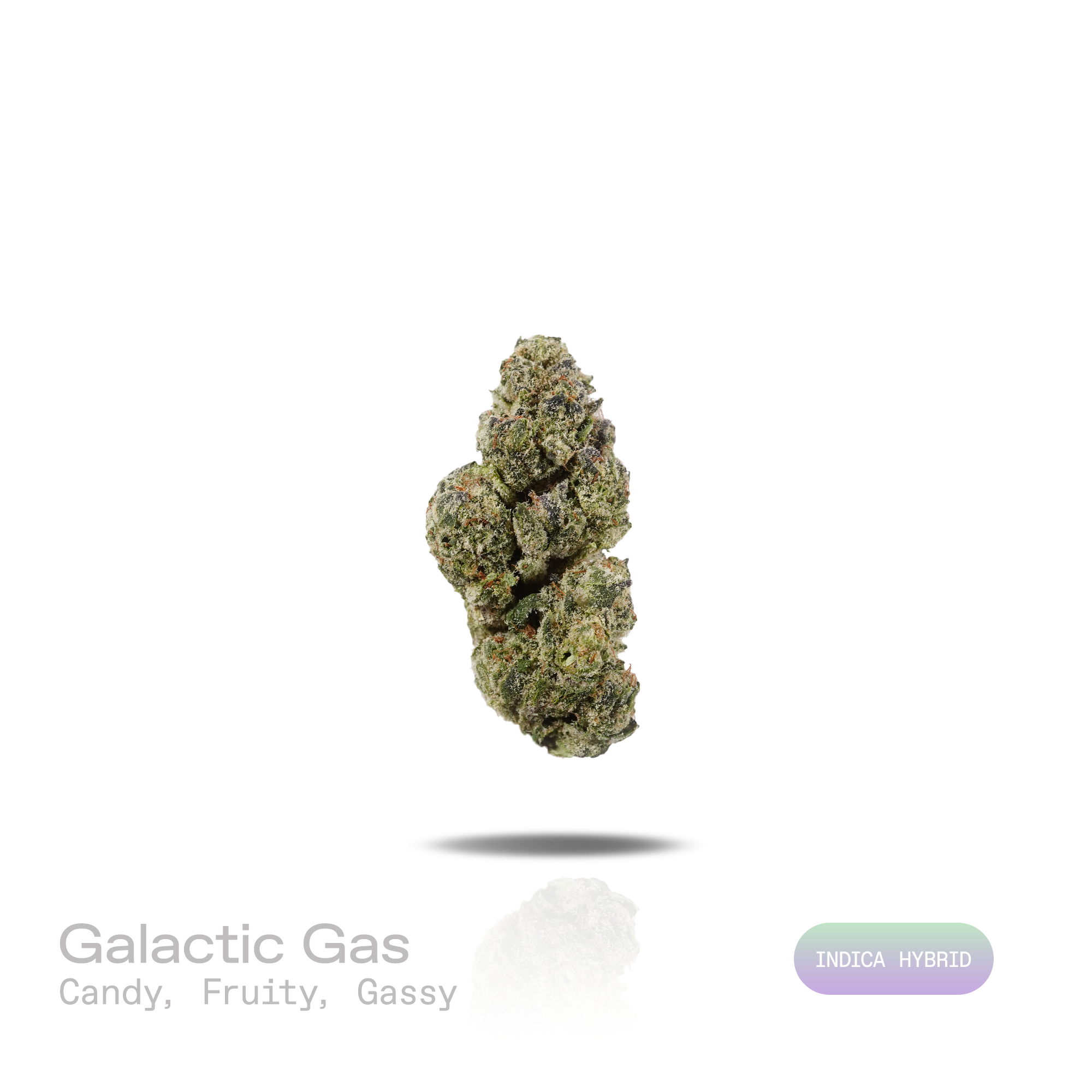 PUFFY Galactic Gas is an indica-dominant hybrid THCa strain rooted in the premium lineage of  Gelato 45 and Gushers. The aroma opens with sweet candy notes, unfolds into vibrant fruity undertones, and finishes with a rich, gassy edge. Visually, dense forest green buds with purple hues and fiery orange pistils are coated in sticky trichomes. Consumers often report an uplifting sense of euphoria and enhanced mental clarity that gradually gives way to a soothing wave of deep physical relaxation. 