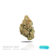 PUFFY Galactic Jack is a sativa-dominant hybrid THCa strain born from the legendary lineage of Jack Herer and Space Queen. The aroma is a sharp blend of chemical undertones, zesty citrus notes, and a hint of ammonia. Visually, the buds feature vibrant green hues accented by fiery orange pistils and a dense coating of frosty trichomes, giving them a sparkling, crystal-like appearance. Consumers often report an energetic, focused high accompanied by a strong sense of euphoria and heightened creativity, often 