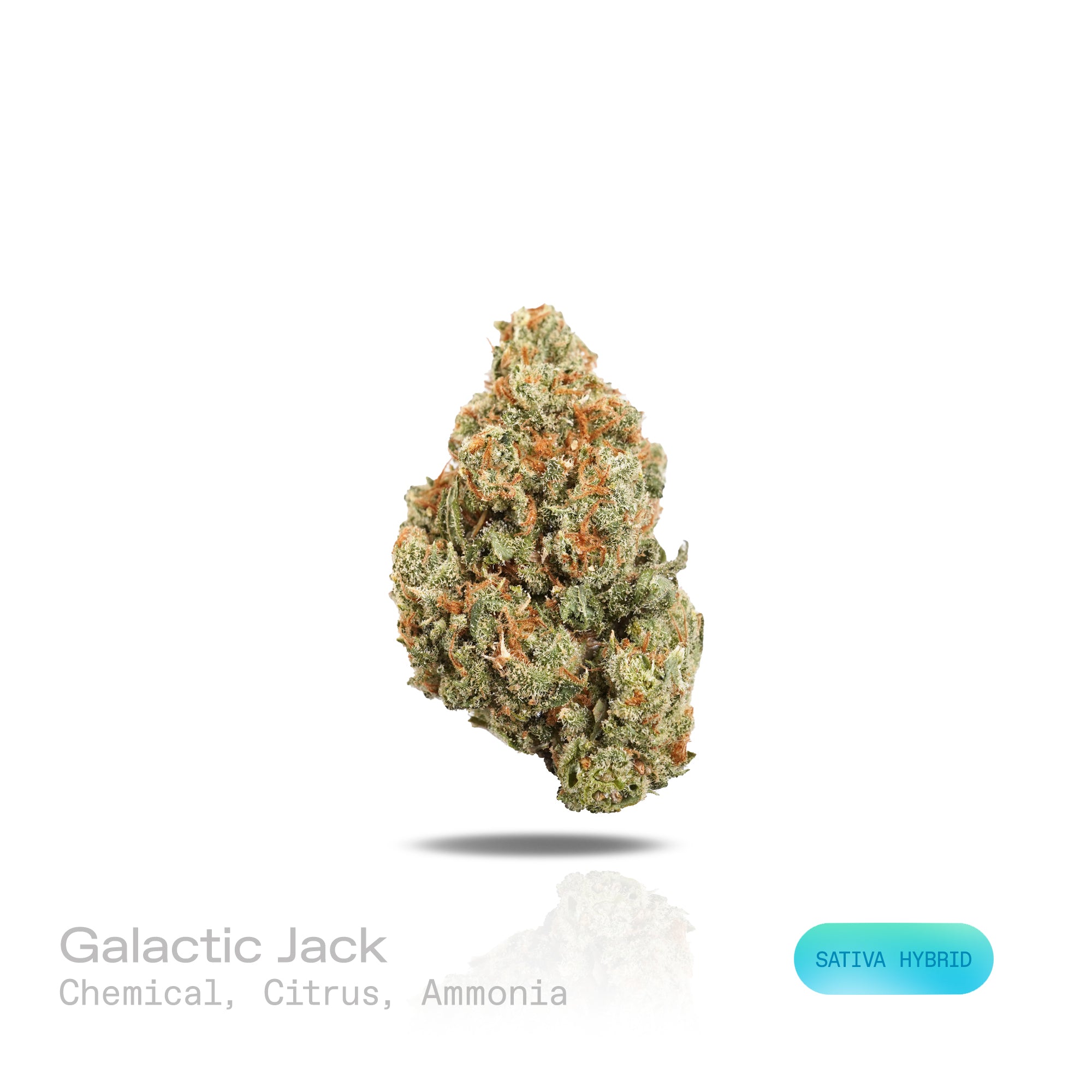 PUFFY Galactic Jack is a sativa-dominant hybrid THCa strain born from the legendary lineage of Jack Herer and Space Queen. The aroma is a sharp blend of chemical undertones, zesty citrus notes, and a hint of ammonia. Visually, the buds feature vibrant green hues accented by fiery orange pistils and a dense coating of frosty trichomes, giving them a sparkling, crystal-like appearance. Consumers often report an energetic, focused high accompanied by a strong sense of euphoria and heightened creativity, often 