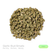 PUFFY Garlic Bud (smalls) is a balanced hybrid THCa strain rooted in the Afghani Indica landrace, known for its traditional Afghan heritage and rich, earthy traits. The aroma features earthy notes complemented by fresh herbal undertones and rich, woody scents. Visually, dense forest green buds with purple hues and fiery orange pistils are coated in sticky trichomes. Consumers often report an initial cerebral uplift with euphoria, elevated mood, and heightened creativity, followed by increased appetite, pote