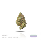 Garlic THCa Flower (Indoor) (Indica Hybrid)
